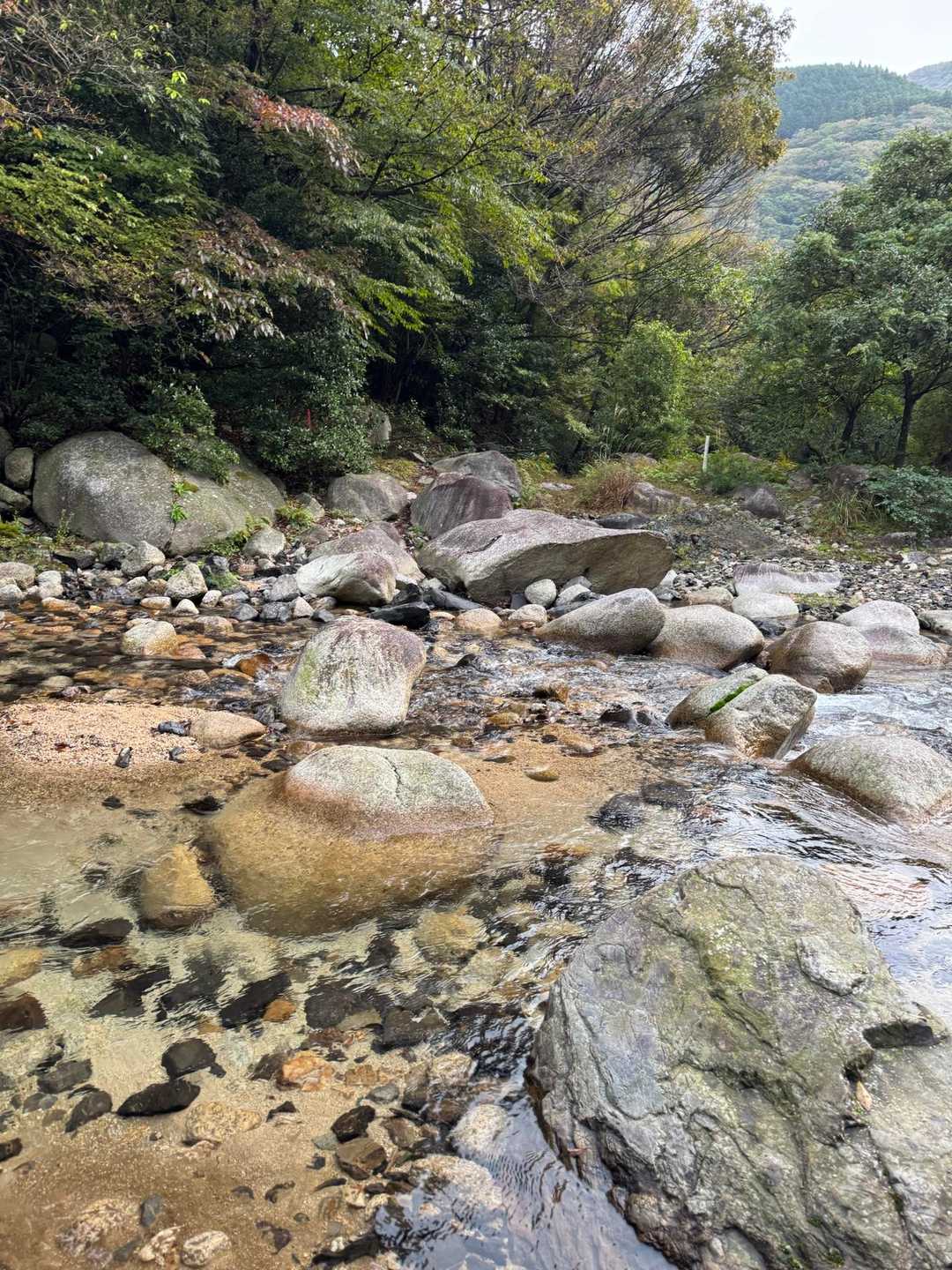 行く時暗闇でよく渡れたなぁと感心