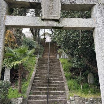 お次は城山
目の前の階段を見て「帰ろ」と言う次女の手を引いて登る🤣