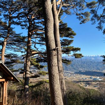 下ってきました。あと少し。