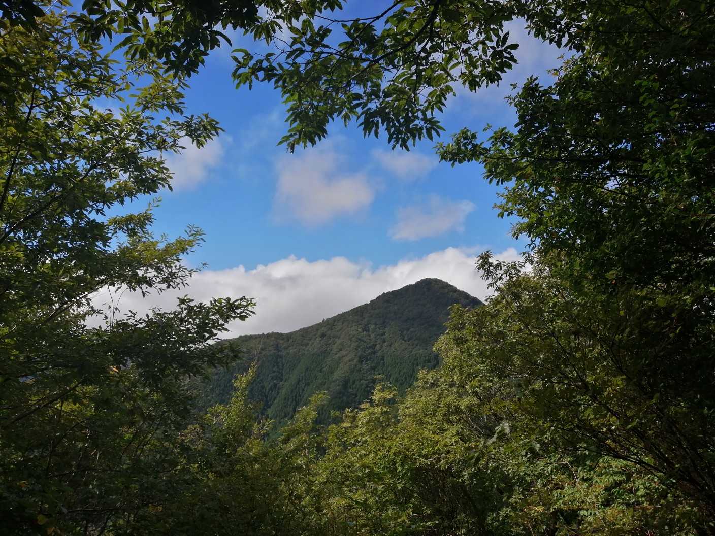 あれが登った莇ヶ岳！