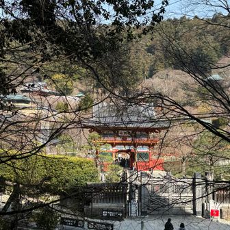 勝尾寺　今日は賑やか