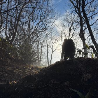 ココ超えたところから太陽が🌞