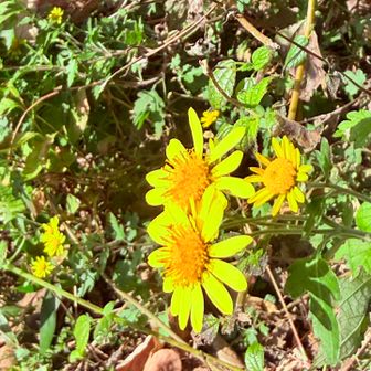 　　今日は赤が多くなりそうだから😄