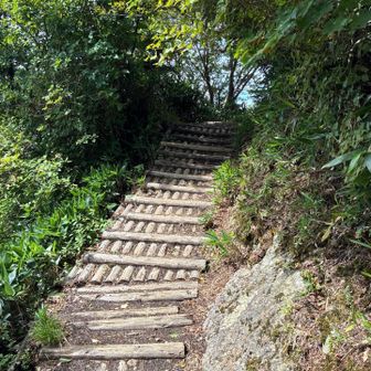 木道で整備されてます
