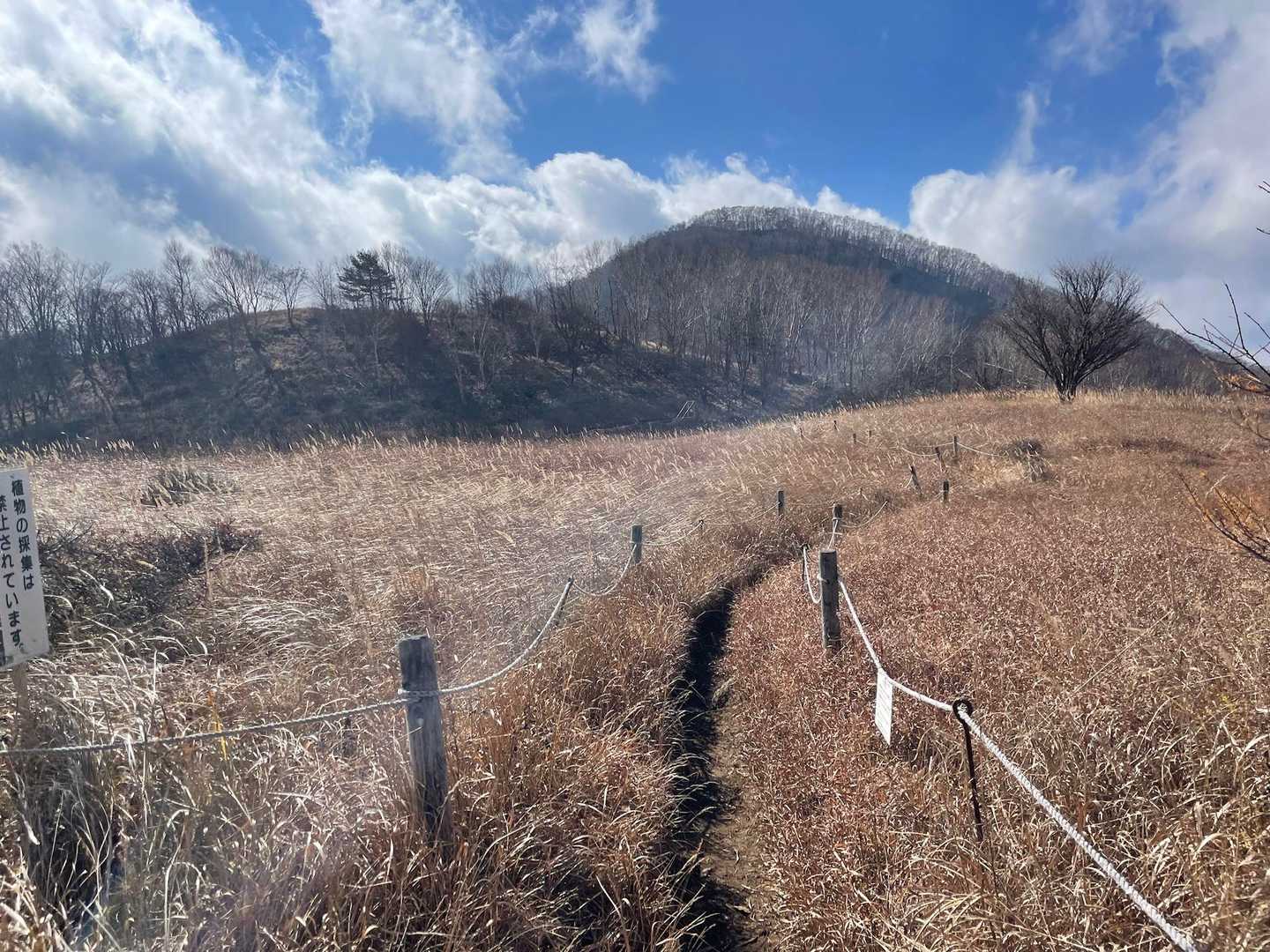 湯ノ沢峠登山口-湯の沢峠-白谷ノ丸-大蔵高丸-ハマイバ丸 周回コースの写真
