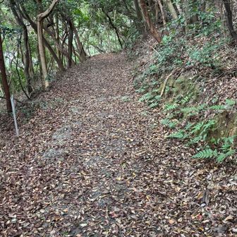 コンクリート舗装の遊歩道がずっと続いていて歩きやすいね♪