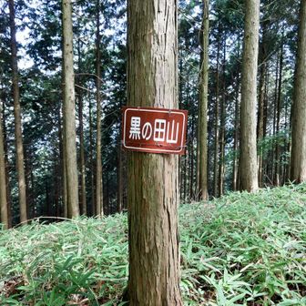 黒の田山（776m）