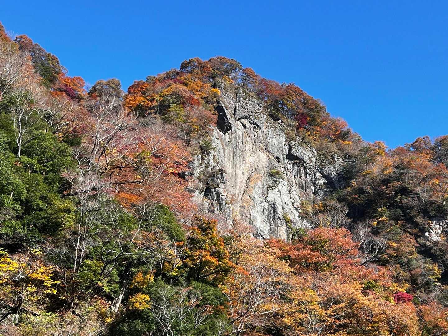 一番高いところが滝のぞき