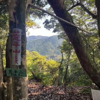油山からここまでの往復が一番きつかった