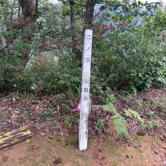 広場、休憩にぴったり。ここから登山者が増えました