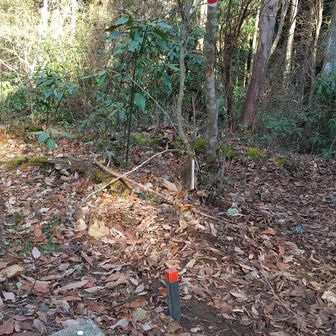今回、根古峰山頂と三角点へも寄り道🚶
