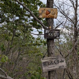 前どんぐり山　200m