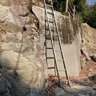 梯子🪜を登ってーの