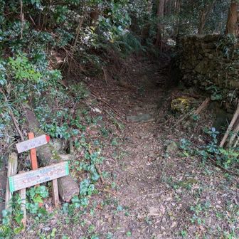 集落から入山