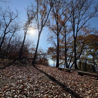 山頂は広々、東屋もあります‼️
ベンチやお手製のテーブルも複数あります👏