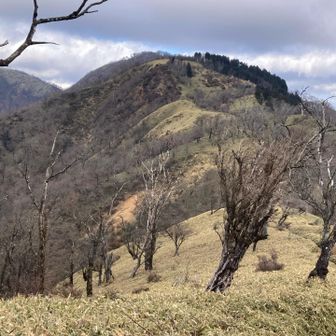丹沢山は百名山
塔ノ岳過ぎると人が減ってきますね