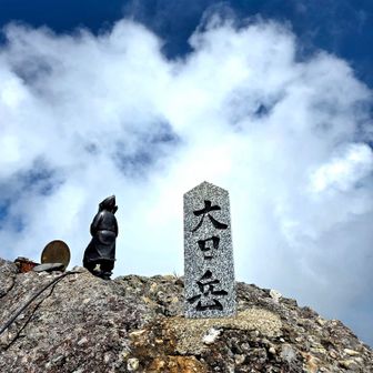 ここが八ツ峰最後の大日岳‼️登頂✨