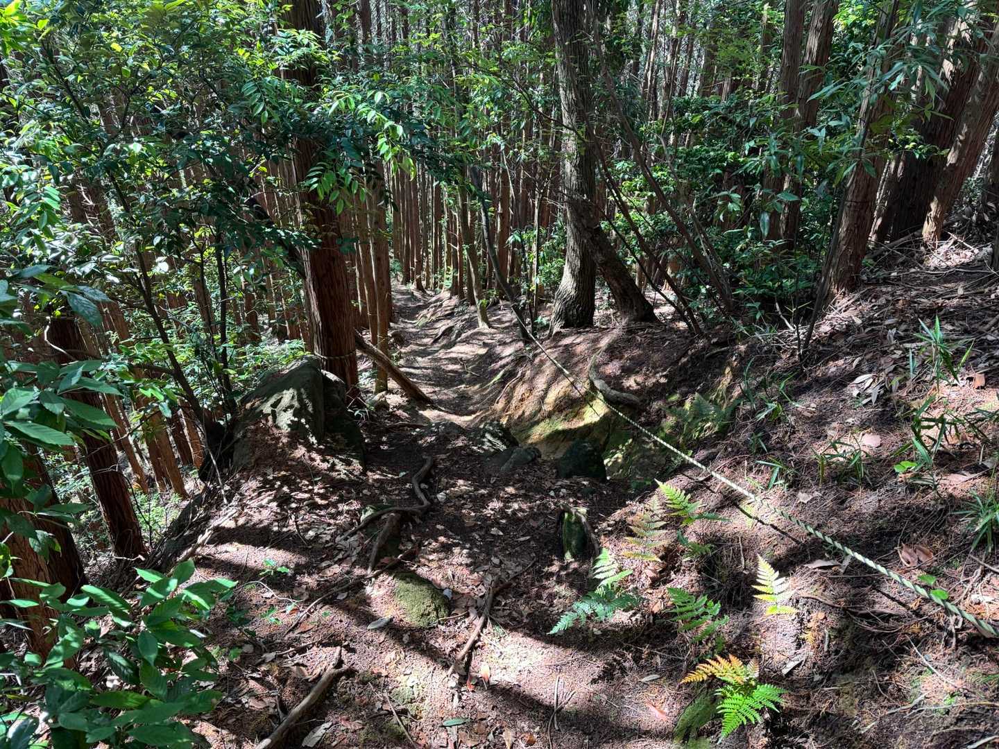 やっぱり足が痛い😣
ゆっくり下山します