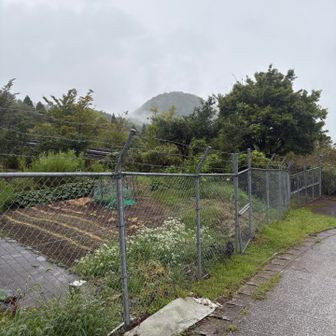 さっきまでいた上仏来山が見える
