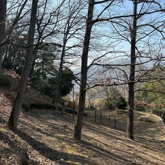 住宅街の中にあります