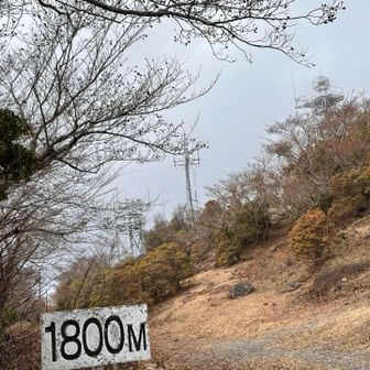 ここが山頂付近。　急にガスが発生し、展望できず。