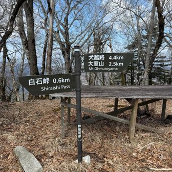 加入道山山頂。きれいな避難小屋がありました。