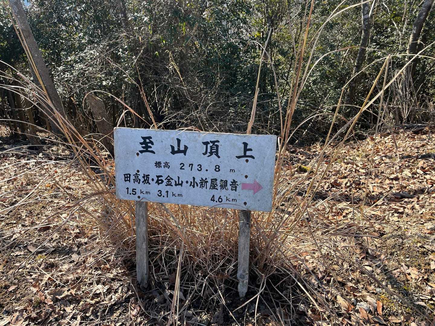 登山道が不安だと写真少なめ、スピード早め😂