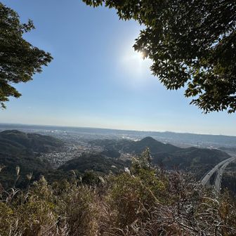 お〜素晴らしい👏