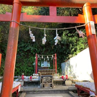 拝殿の裏手に本殿