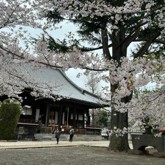 寛永寺根本中堂