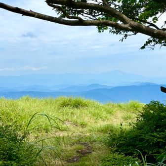お⁉️着いたか❓