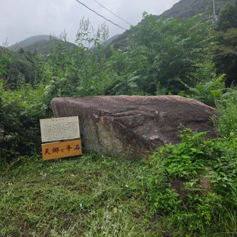 初めてみた😅