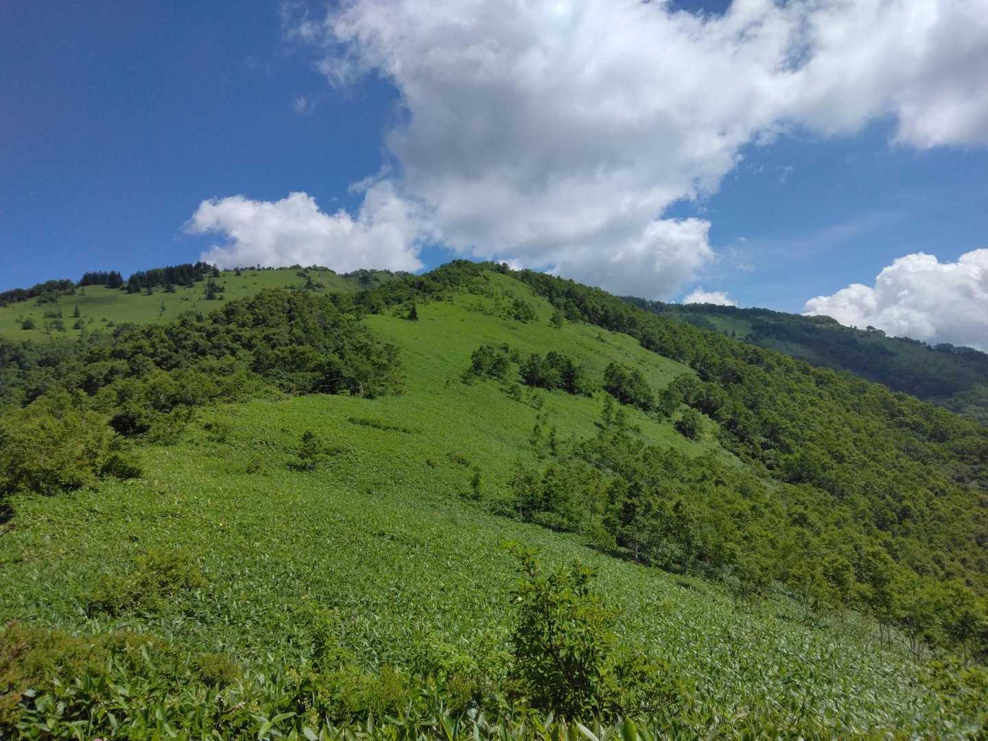 なんてたおやかな山容
久しぶりに見れた