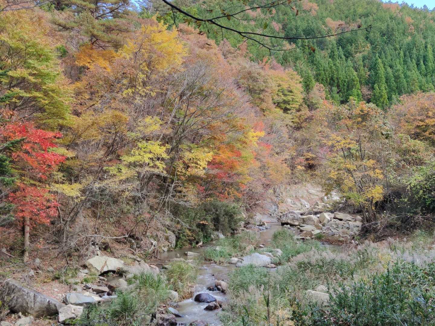 スライドは1組だけでした。

有名どころの紅葉🍁は本当に素敵だとは思いますが、最近は特に静で綺麗な紅葉🍁の⛰を独り占めする方がよっぽど贅沢だよな〜と思います😌