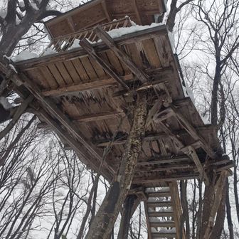 下を通る時、老朽化で落ちてきたりしないか気になる