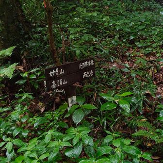 縦走路の案内板