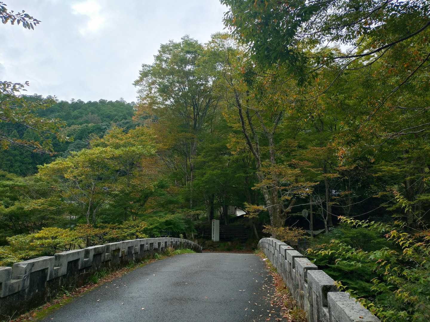 京見峠-上ノ水峠-仏栗峠-福ヶ谷林道登山口-白雲橋-槙ノ尾 縦走コースの写真