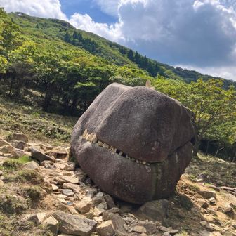 モンスターバースのゴジラだな。