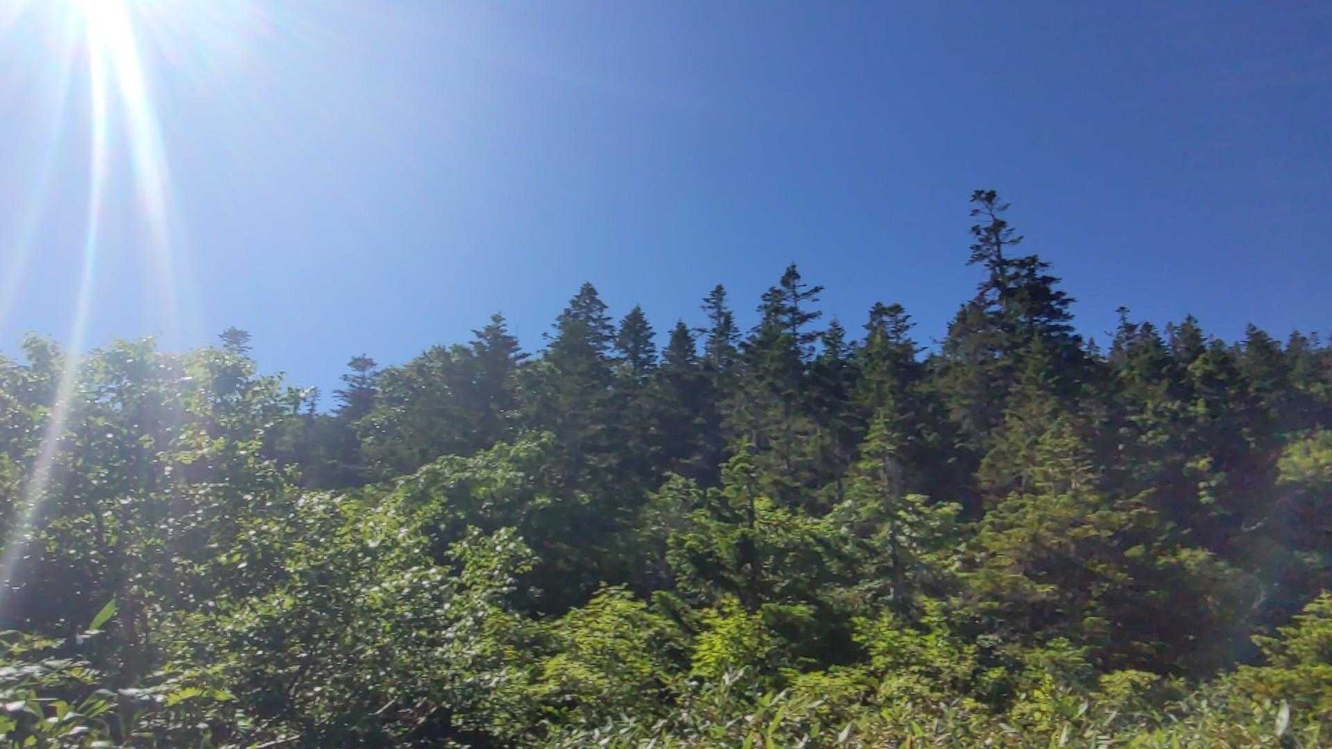 雲一つ無いです🤭