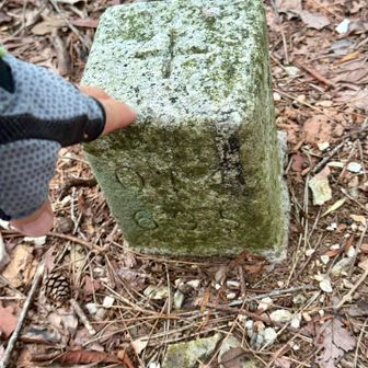 四等三角点（点名：白樫）にタッチ❗️

急登を登って来て、暑さもあり、バテました。
おにぎり🍙一つ食べ、休憩しました。
