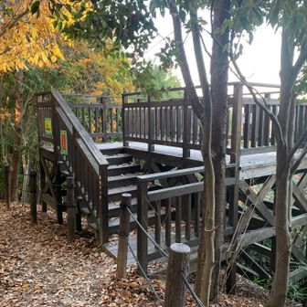 今回は誰もいなかったため少し休憩