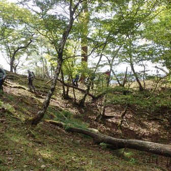 水上越のドリーネ、ここから引き返す。