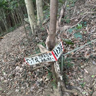 行きは、男坂で　帰りは　女坂にしました。