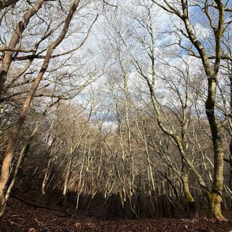 ここは眺望もなく、ゆっくりは出来ないので戻ります🐾ᵕ̈