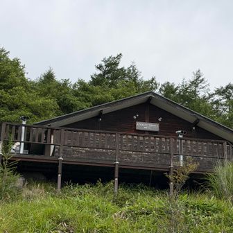 薮を掻き分け唐突に、、