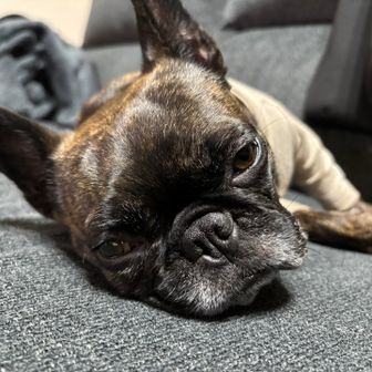 ぶー⭐︎初心者