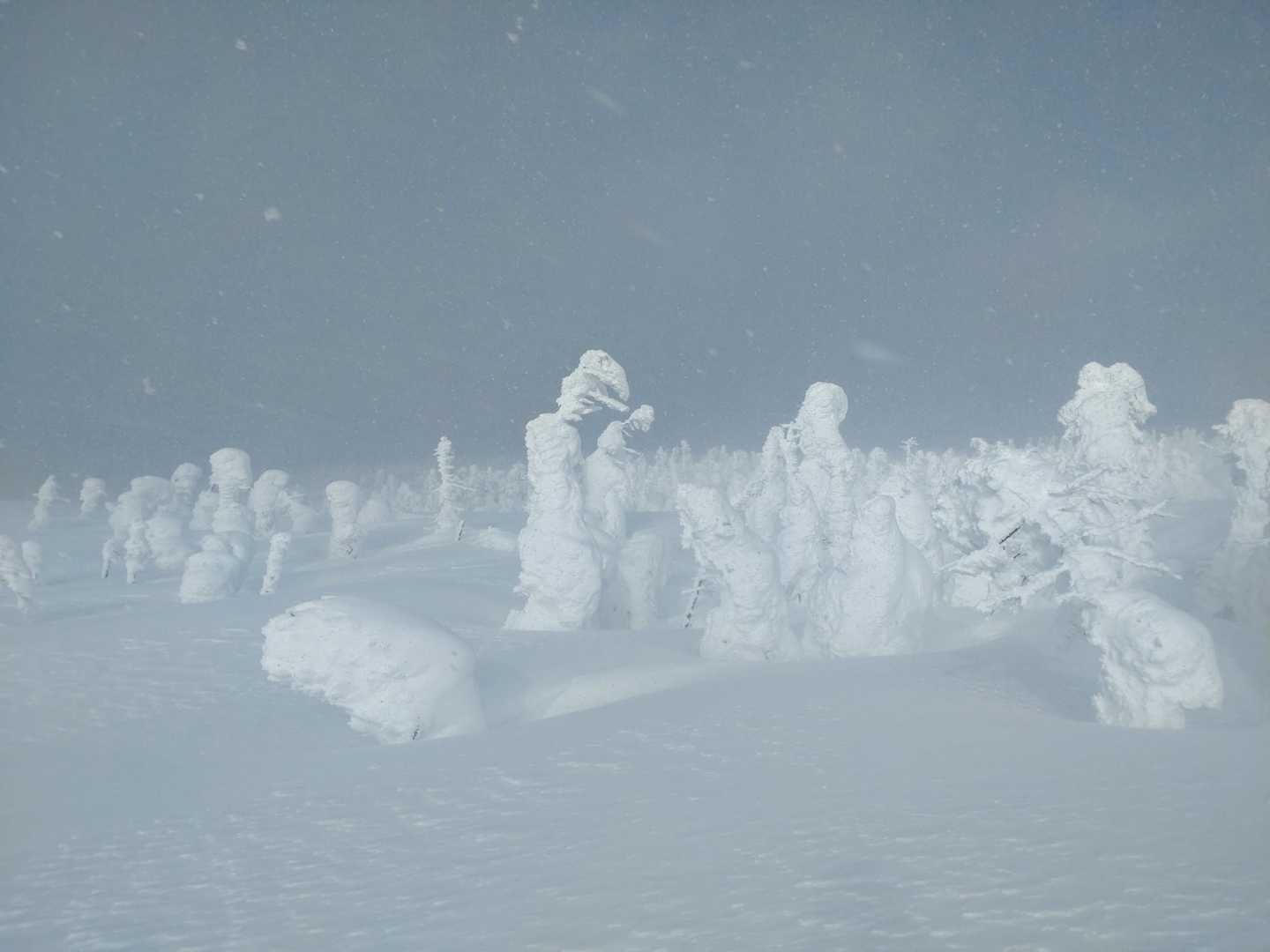 先週より大きくなってる。