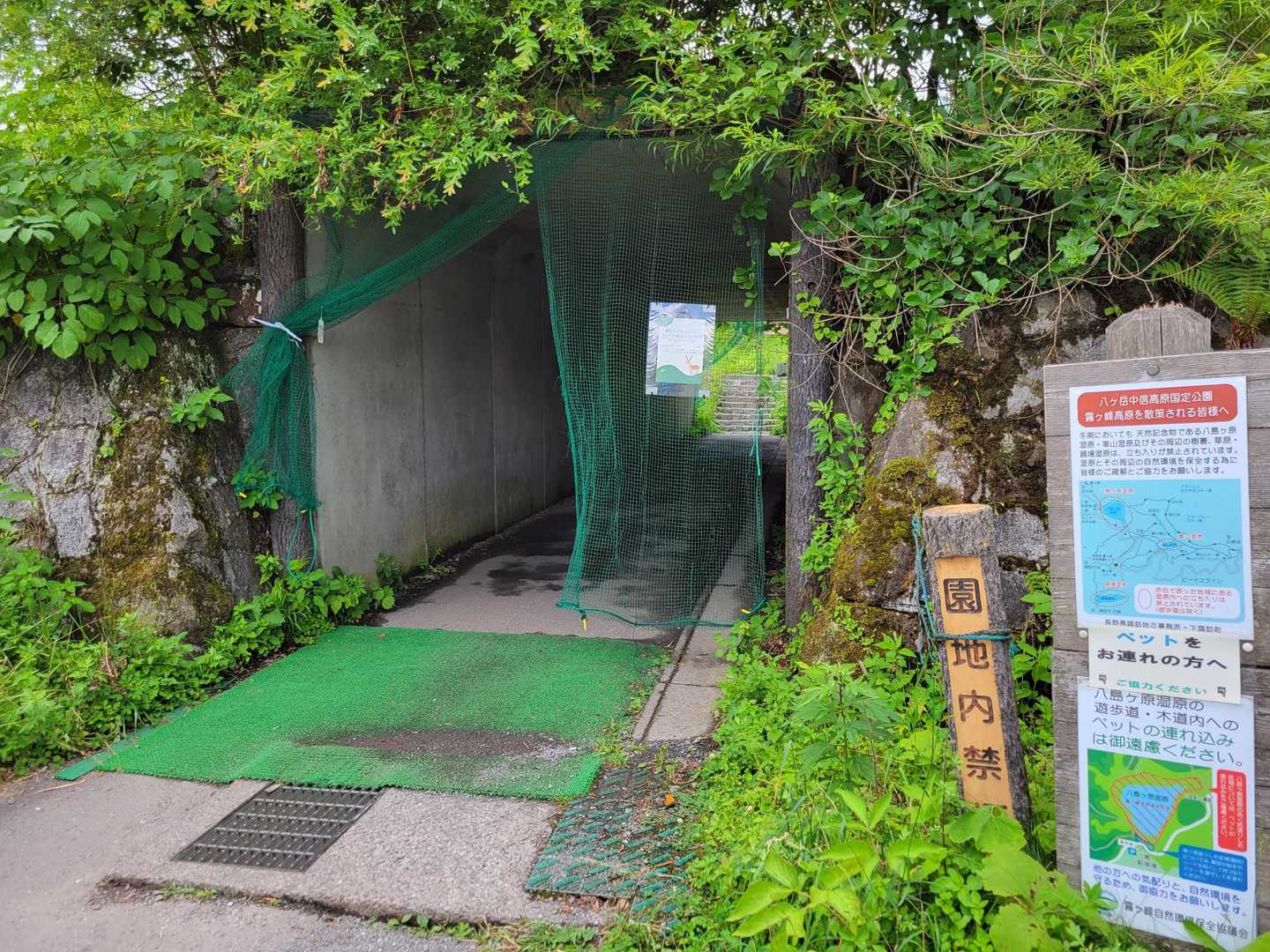 入り口に鹿避けネット🦌