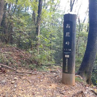 本日の最高到達点