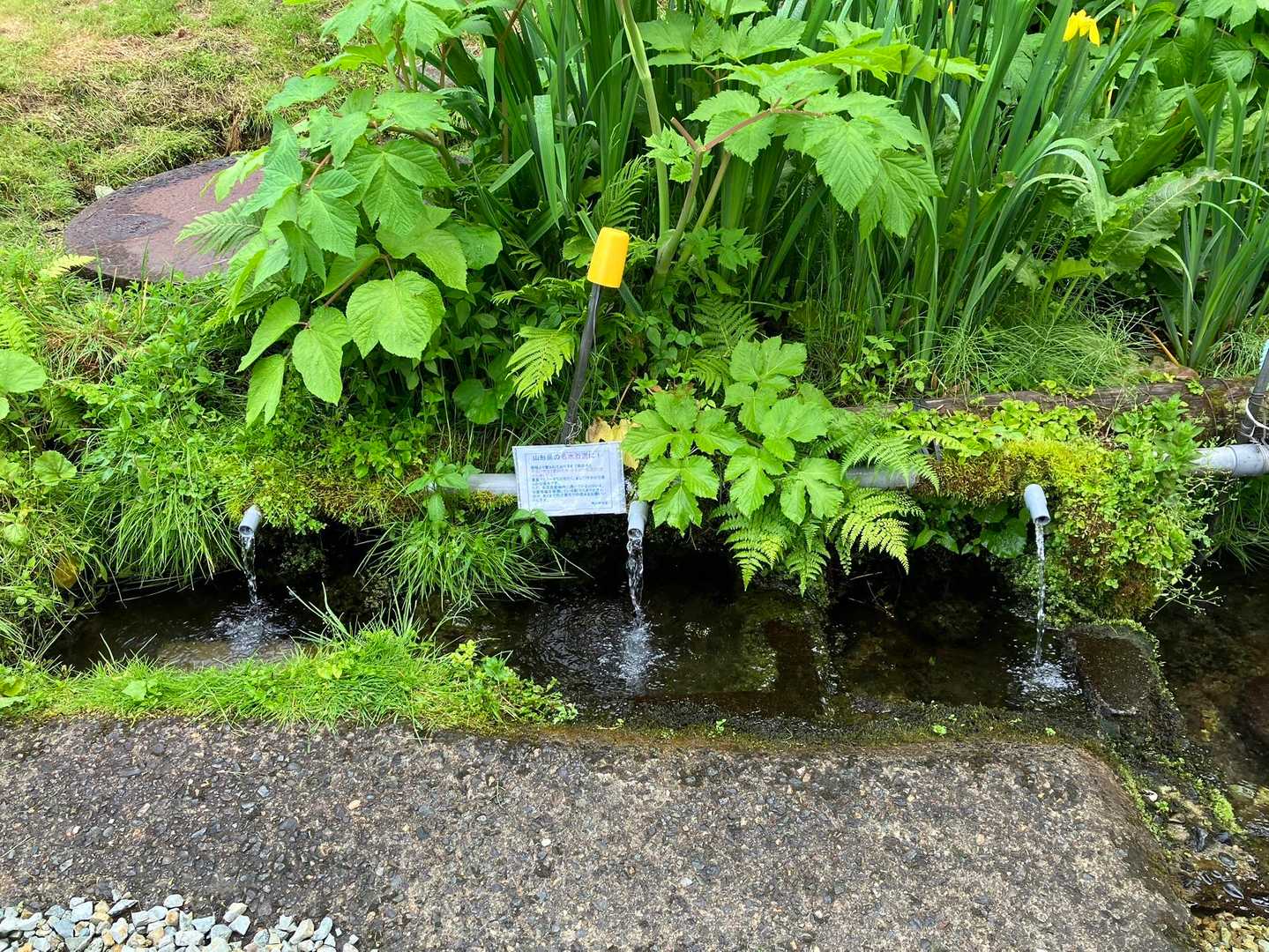 湧水じゃぶじゃぶ。帰りにもらって帰ろう！